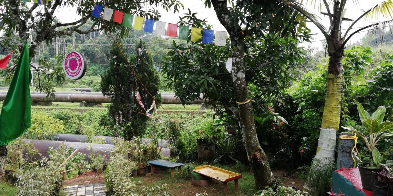 Share Hostel Munnar Zewnętrze zdjęcie