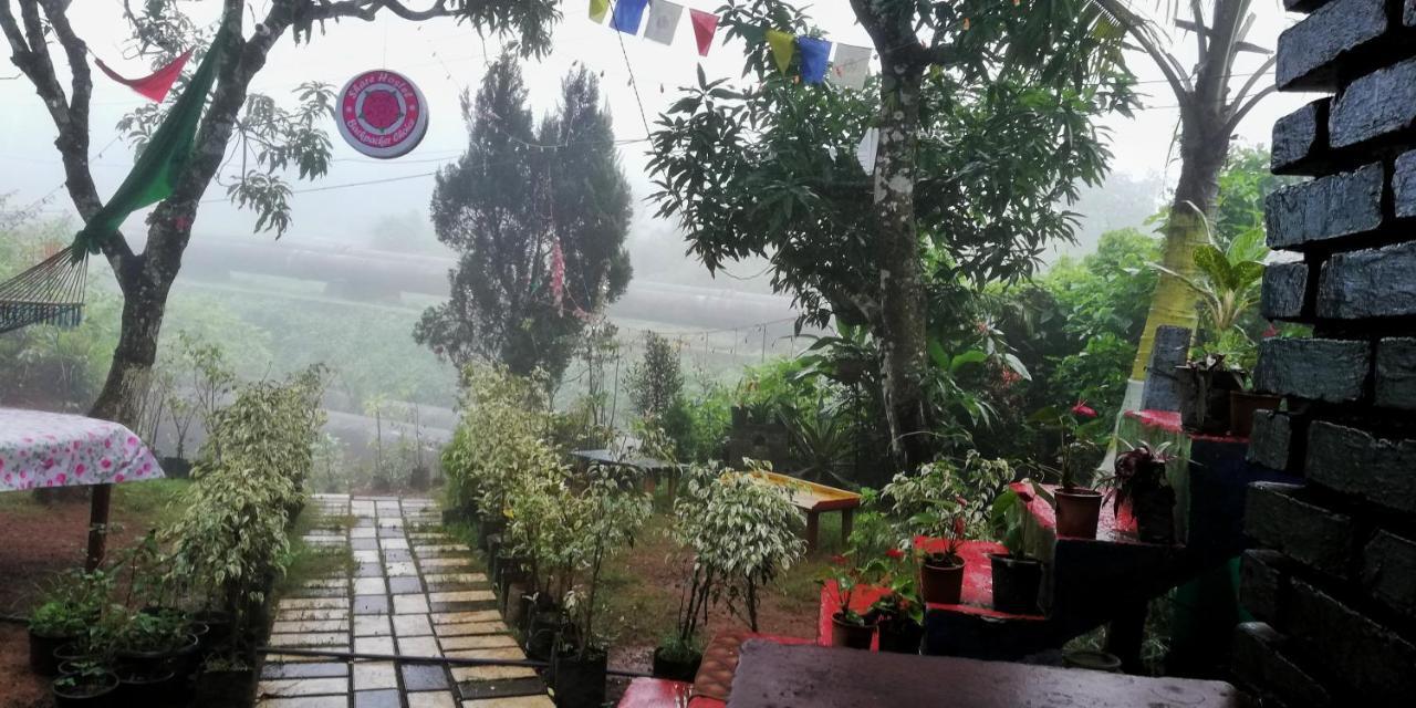 Share Hostel Munnar Zewnętrze zdjęcie